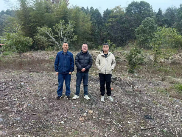 1740019435148753.jpg 1740019404876.jpg