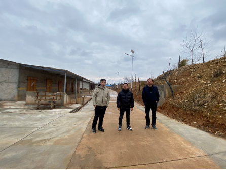 1747725741206412.png cea08514-ebc4-4fb4-91fb-19efa77e54a4.png